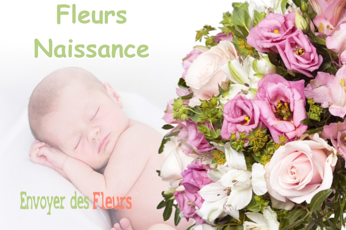 lIVRAISON FLEURS NAISSANCE à FITILIEU